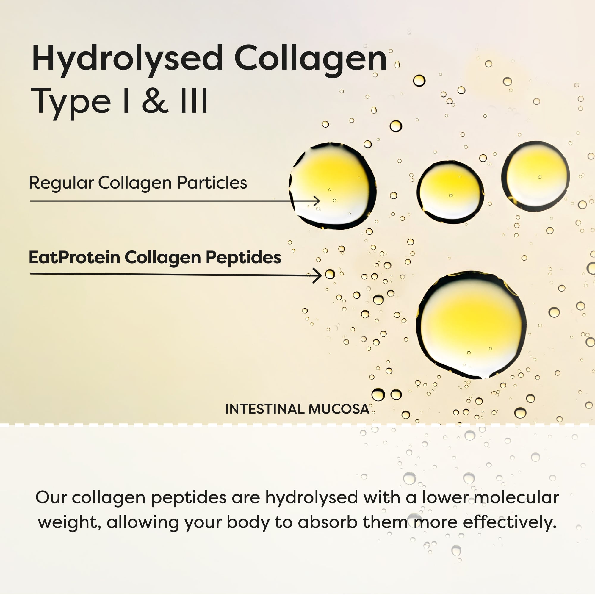 Choc Chip Cookie Dough + Collagen x10 - Image 6
